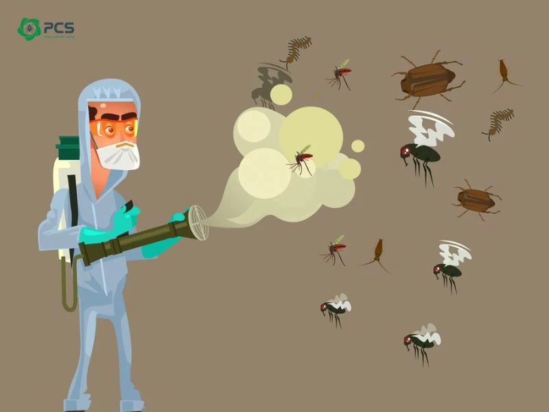 Cách sử dụng thuốc diệt côn trùng an toàn, hiệu quả