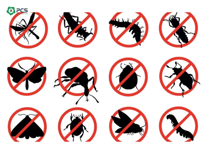 cách diệt côn trùng trong nhà