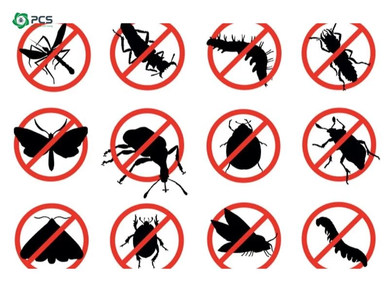Thuốc diệt côn trùng có độc không