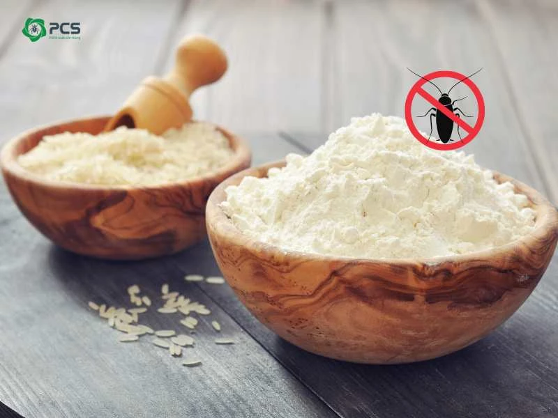 cách diệt gián bằng bột gạo