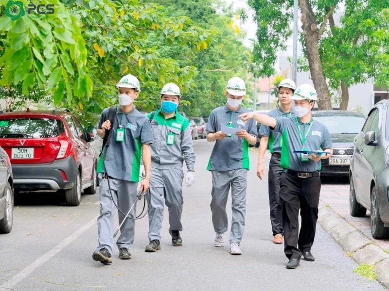 Tìm hiểu Dịch vụ diệt mối tại Hà Nội - PCS Việt Nam