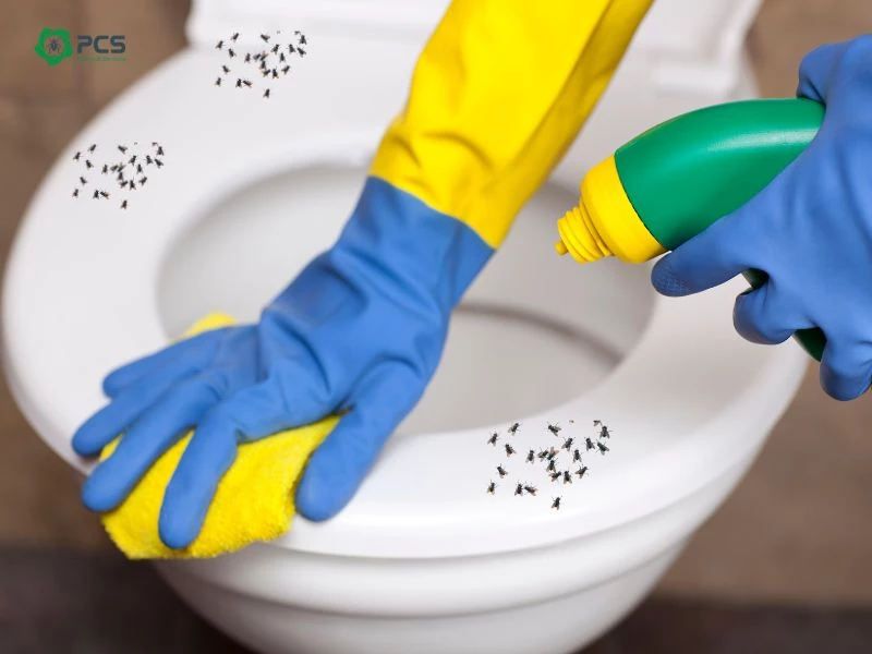 diệt ruồi nhà vệ sinh
