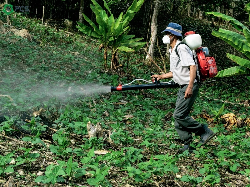 Lừa đảo phun thuốc diệt muỗi 