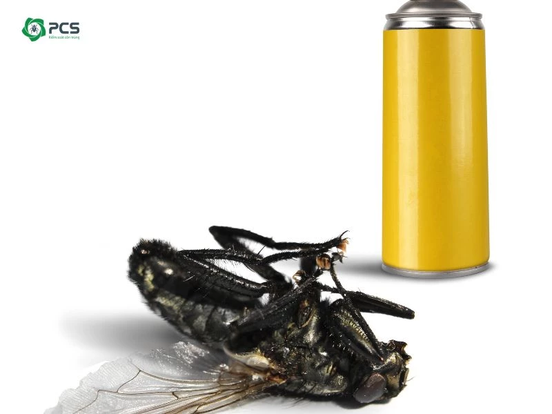 20 Cách phun thuốc diệt ruồi tại nhà an toàn & hiệu quả