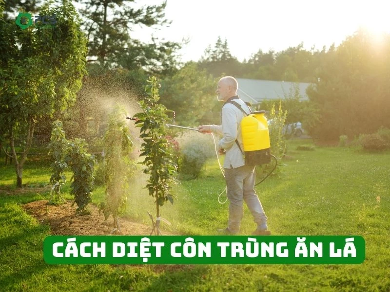 12 Cách diệt côn trùng ăn lá nhanh chóng & hiệu quả