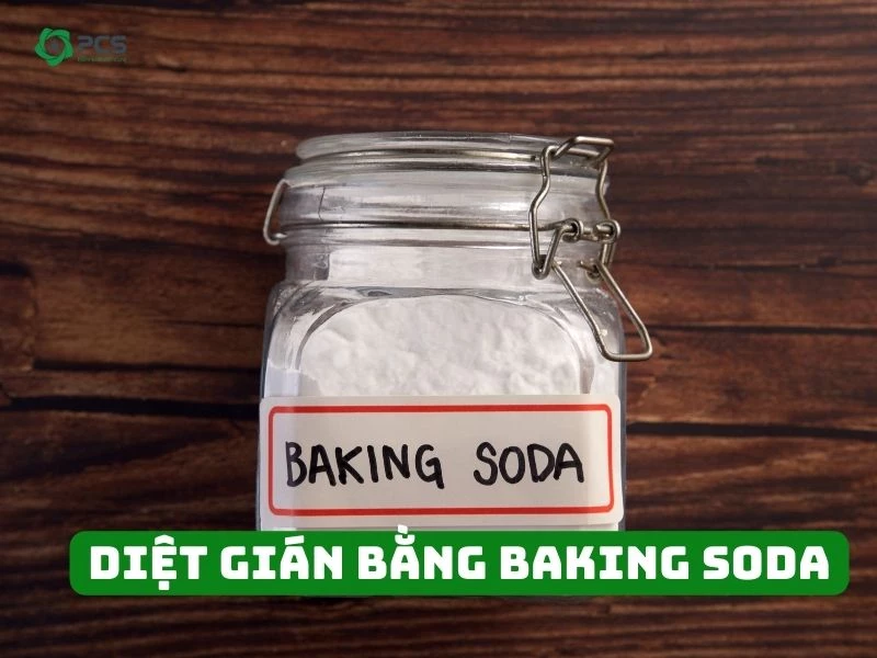 Hướng dẫn diệt gián bằng baking soda hiệu quả
