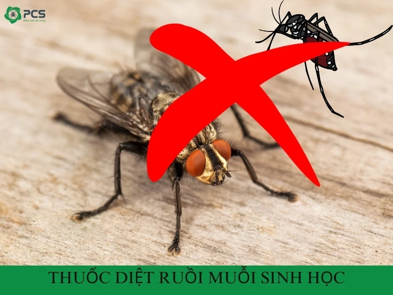 Thuốc diệt ruồi muỗi sinh học có thật sự hiệu quả?