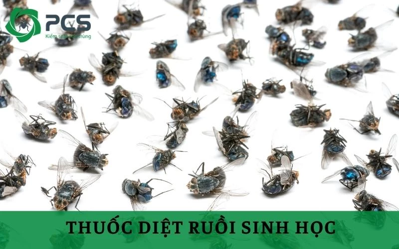 5 Loại thuốc diệt ruồi sinh học an toàn hiện nay